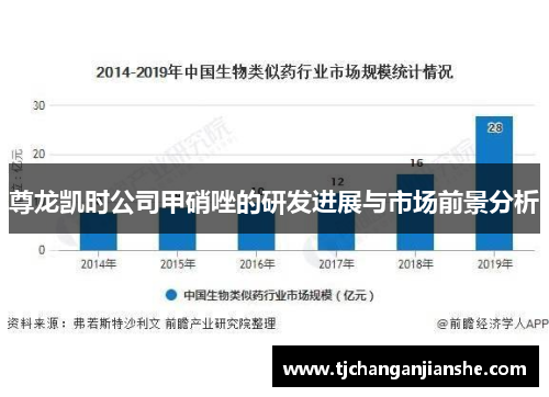 尊龙凯时公司甲硝唑的研发进展与市场前景分析